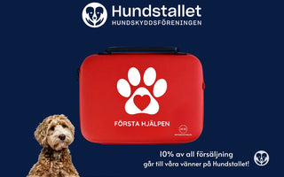 Skyddscentralen x Hundstallet – ett samarbete för hundars trygghet