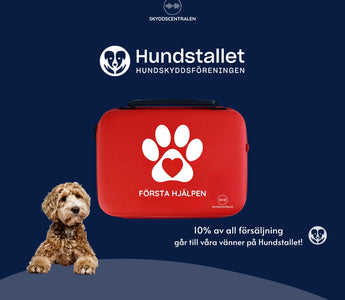 Skyddscentralen x Hundstallet – ett samarbete för hundars trygghet