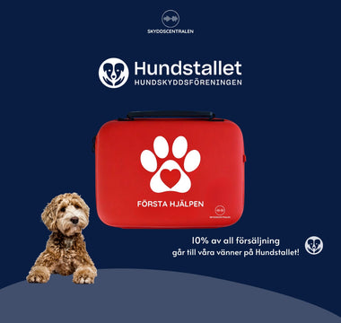 Skyddscentralen x Hundstallet – ett samarbete för hundars trygghet